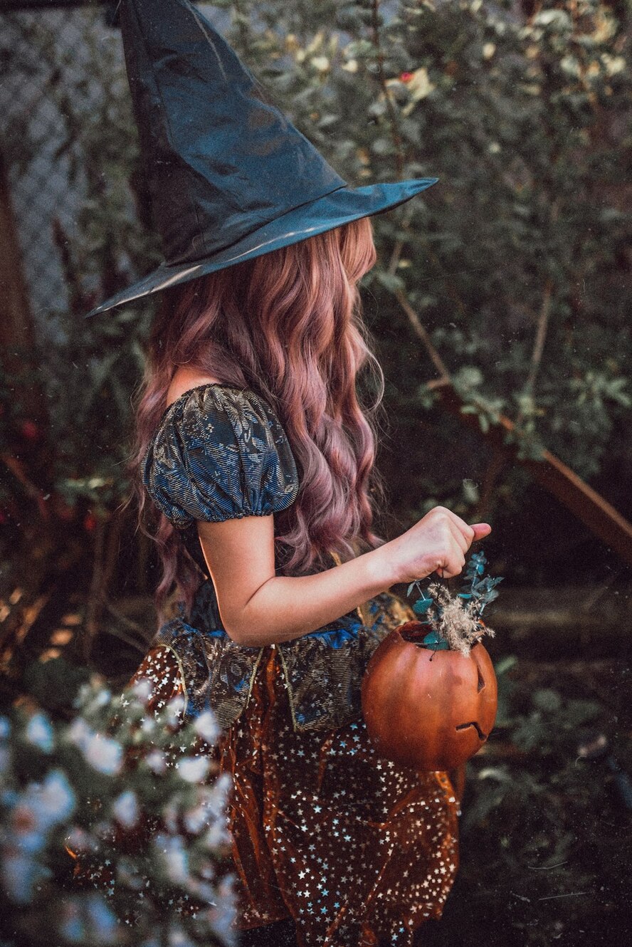 Photo by Paige Cody / Unsplash