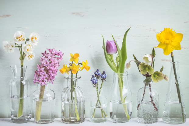 お家に花を飾ろう 無印良品 ケーラー 波佐見など 美しい花器 10選 Locari ロカリ