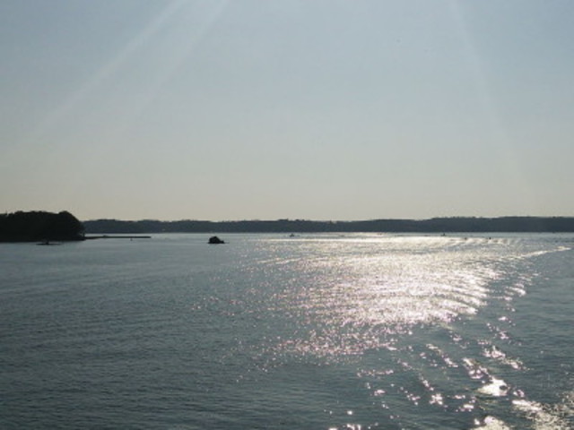 picture