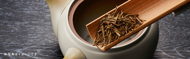 加賀棒ほうじ茶に使用している石川県焙煎茎茶