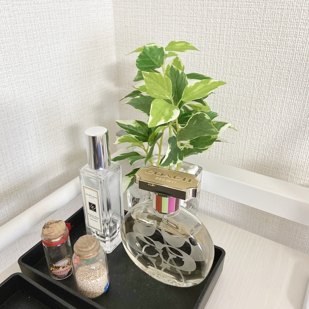 お部屋が癒し空間になった…！ニトリの「フェイク観葉植物」が本物そっくりで超優秀です！ LOCARI（ロカリ）