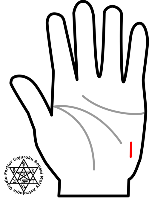 手相占い 今すぐチェック 隠れた才能 を示す4つの相 Locari ロカリ