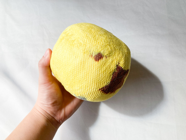 Hana Kushibuchi/BuzzFeed