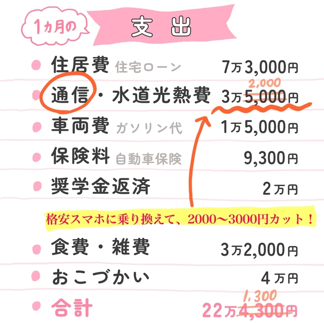 マナミさん夫婦の1ヶ月の支出は約22万円ほど。