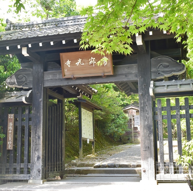 picture